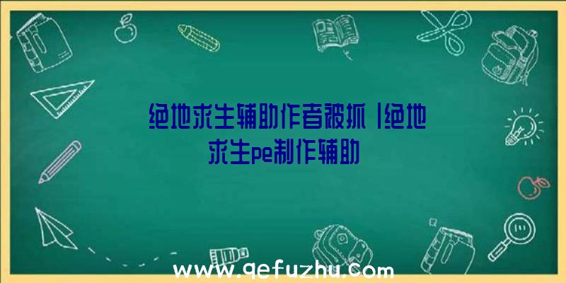 「绝地求生辅助作者被抓」|绝地求生pe制作辅助